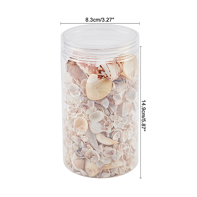 Natural Sea Shell Beads Kits SSHEL-PH0002-49-1