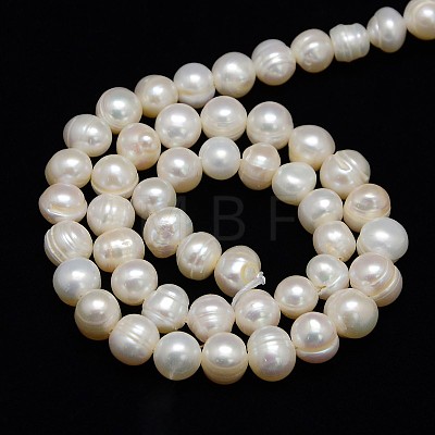 Natural Cultured Freshwater Pearl Beads Strands X1-PEAR-L001-C-05-1