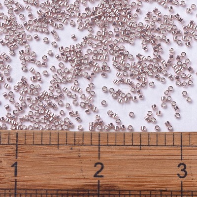 MIYUKI Delica Beads X-SEED-J020-DB0418-1