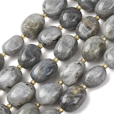 Natural Labradorite Beads Strands G-G453-D10-01-1