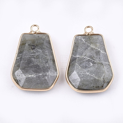 Natural Labradorite Pendants G-T112-15B-1