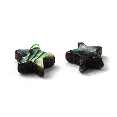 Natural Abalone Shell/Paua Shell Beads SHEL-B003-12-1