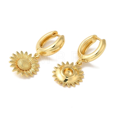 Rack Plating Brass Hoop Earrings EJEW-B062-40G-1