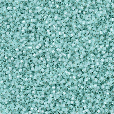 MIYUKI Delica Beads SEED-JP0008-DB0626-1