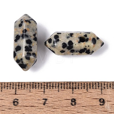 Natural Dalmatian Jasper Pendants G-Q601-27B-1