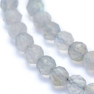 Natural Labradorite Beads Strands G-I279-E19-1