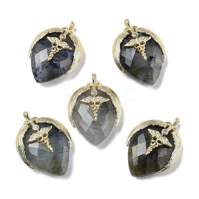 Natural Labradorite Pendants G-U019-01G-02-1