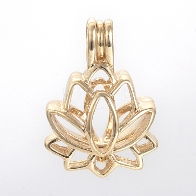 Alloy Diffuser Locket Pendants PALLOY-S062-40G-1