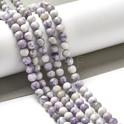 Natural Purple Turquoise Beads Strands G-L595-C04-01-1