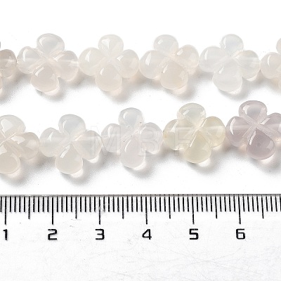 Natural White Agate Beads Strands G-P520-A01-01-1