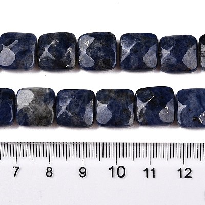 Natural Sodalite Beads Strands G-T138-169-1