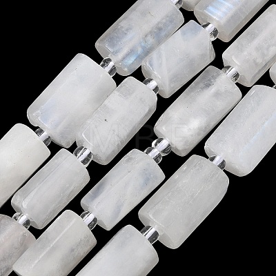 Natural Rainbow Moonstone Beads Strands G-C270-J01-1