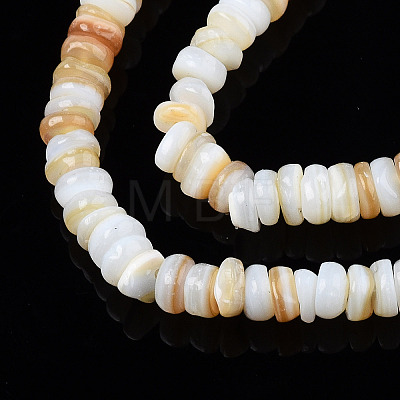 Natural Freshwater Shell Beads Strands X-SHEL-S278-067G-1