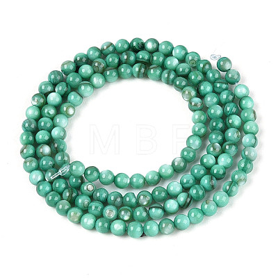 Natural Freshwater Shell Beads Strands BSHE-T009A-01J-1