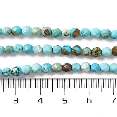 Natural Howlite Beads Strands G-C025-02C-06-1
