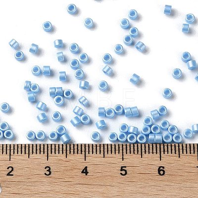 Baking Paint Glass Seed Beads SEED-S042-15A-11-1