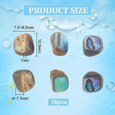 18Pcs Natural Abalone Shell/Paua Shell Beads SSHEL-BC0001-27-1