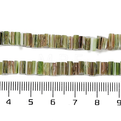 Handmade Lampwork Beads Strands LAMP-Q037-02B-15-1