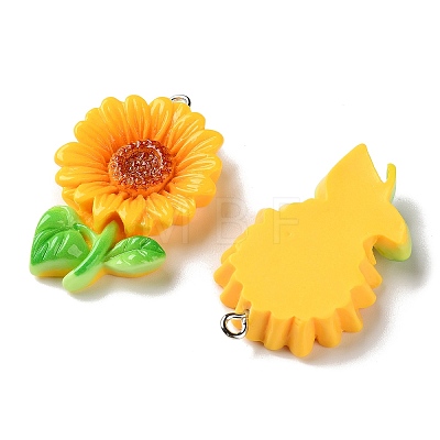 Opaque Resin Pendants RESI-K050-01A-1