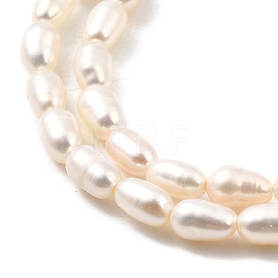 Natural Cultured Freshwater Pearl Beads Strands PEAR-I007-01L-01B-1