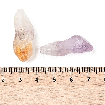 Nuggets Raw Natural Quartz Crystal & Amethyst & Yellow Quartz Collections AJEW-Q152-05-1