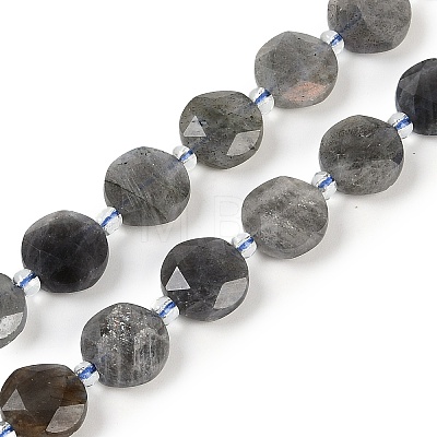 Natural Labradorite Beads Strands G-C116-A47-01-1