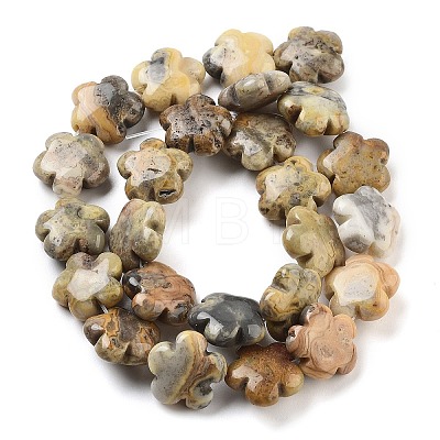 Natural Crazy Agate Beads Strands G-F769-M01-01-1