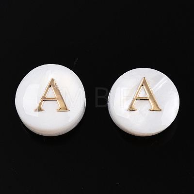 Natural Freshwater Shell Beads SHEL-N036-01A-1