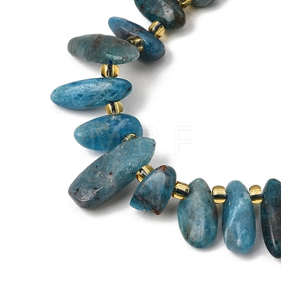Natural Apatite Beads Strands GG-CBADF20-A08-1