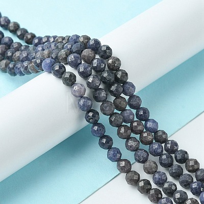 Natural Sapphire Beads Strands G-F748-M01-04-1