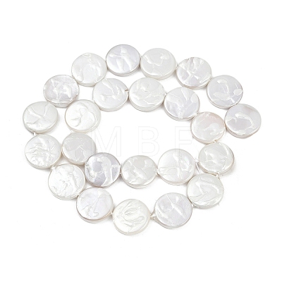 Electroplate Porcelain Imitation Pearl Beads Strands BSHE-Z009-02A-1