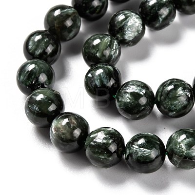 Natural Seraphinite Beads Strands G-E557-22B-1