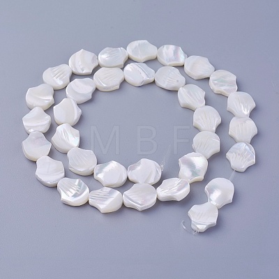 Shell Beads Strands SSHEL-E571-41-1