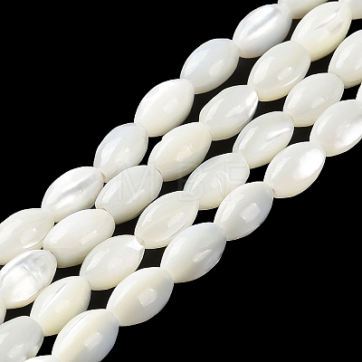 Natural Trochus Shell Beads Strands BSHE-E030-02C-1