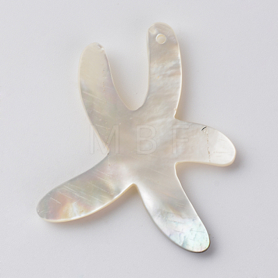 Sea Shell Pendants X-SSHEL-Q297-56-1