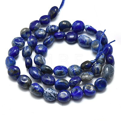 Natural Lapis Lazuli Beads Strands X-G-O186-B-17-1