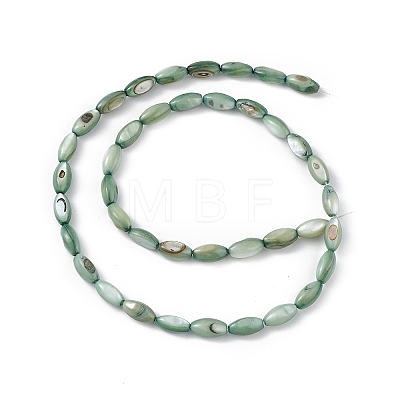 Natural Freshwater Shell Dyed Beads Strands SHEL-M018-13-11-1