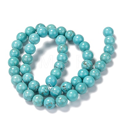 Natural Magnesite Beads Strands G-TAC0001-03C-1