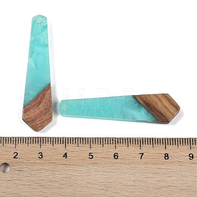 Resin & Wood Pendants WOOD-F015-05B-1