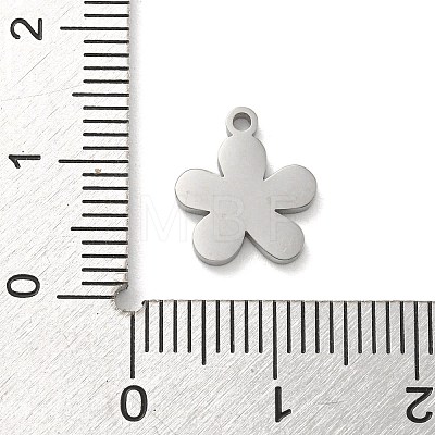 304 Stainless Steel Pendants STAS-M069-02B-P-1