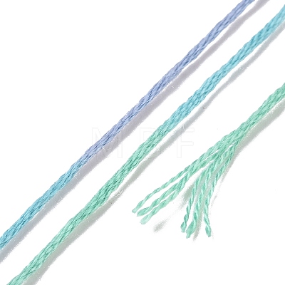 10 Skeins 6-Ply Polyester Embroidery Floss OCOR-K006-A30-1