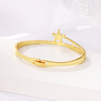Alloy & Crystal Rhinestone Hinged Bangles for Women FS-WG22ADC-01-1
