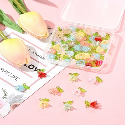 50Pcs Transparent Acrylic Pendants PALLOY-FS00043-03-1