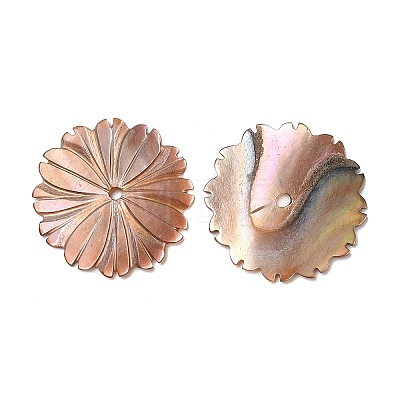 Natural Sea Shell Beads SHEL-F007-22-1