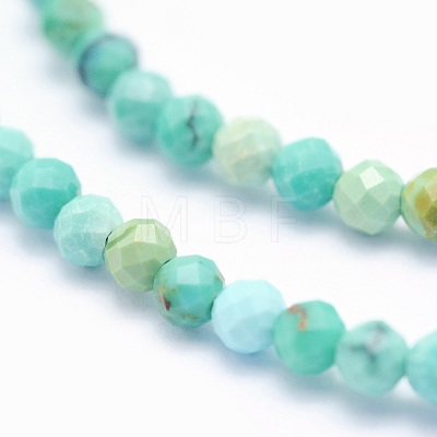 Natural Turquoise Beads Strands G-O166-17-2mm-1