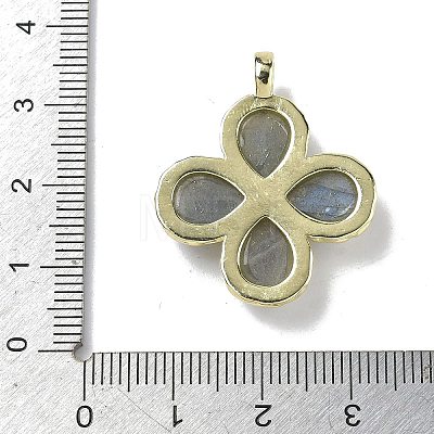 Natural LabradoriteFaceted Pendants G-A308-01G-14-1