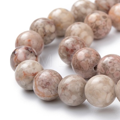 Natural Maifanite/Maifan Stone Beads Strands G-P451-01A-B-1