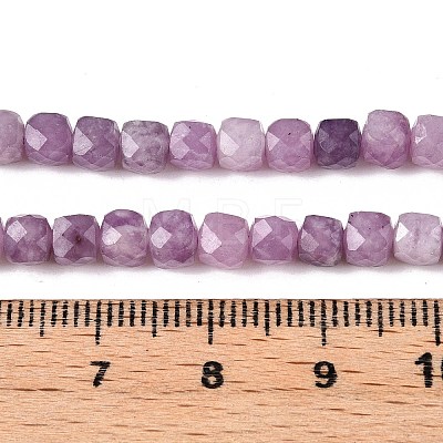 Natural Lepidolite/Purple Mica Stone Beads Strands G-N342-139-1