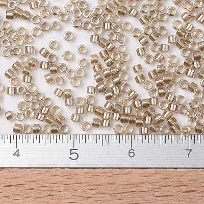 MIYUKI Delica Beads X-SEED-J020-DB0907-1