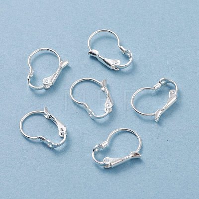 304 Stainless Steel Leverback Earring Findings STAS-H380-08S-1